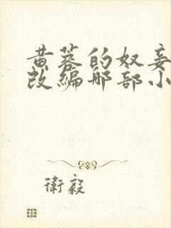 黄蓉的奴妾小说改编哪部小说封面