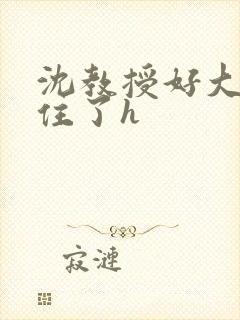 沈教授好大含不住了h