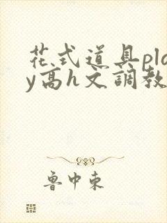 花式道具play高h文调教