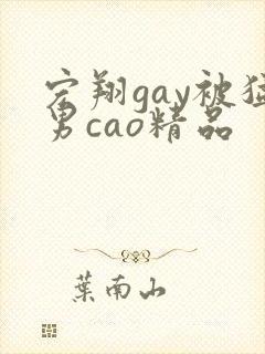 宏翔gay被猛男cao精品