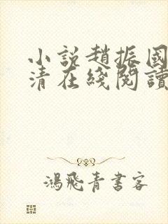 小说赵振国宋婉清在线阅读封面