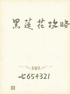 黑莲花攻略手册封面