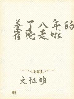 养了八年的金丝雀飞走啦