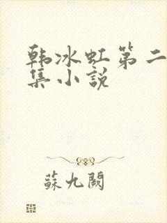 韩冰虹第二部续集小说封面
