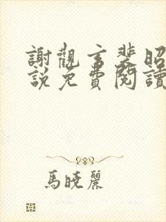 谢观玄裴昭意小说免费阅读