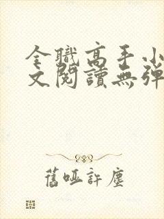 全职高手小说全文阅读无弹窗