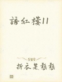 诱红楼11