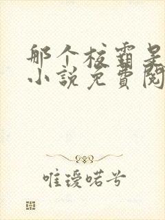 那个校霸是我的小说免费阅读