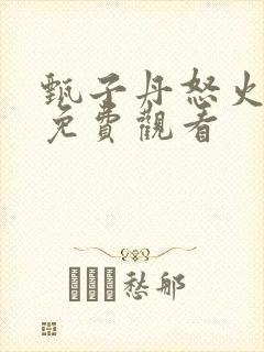 甄子丹怒火重案免费观看