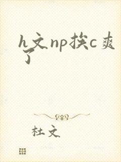 h文np挨c爽了