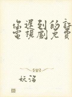 你迟到的许多年电视剧免费观看全集封面