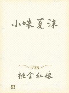 小咪夏沫封面