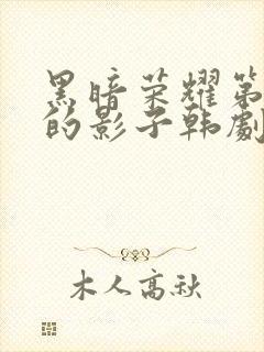 黑暗荣耀第二季的影子韩剧免费观看