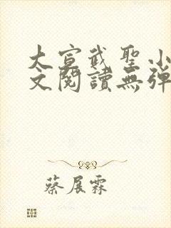 大宣武圣小说全文阅读无弹窗