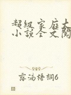 超级家庭大杂烩小说全文阅读