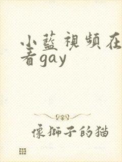 小蓝视频在线观看gay