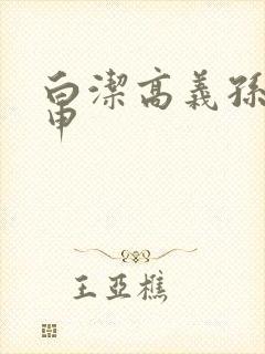 白洁高义孙倩王申封面