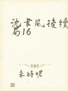 沈聿风后续大结局16封面