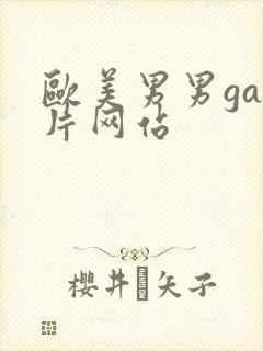 欧美男男gay片网站