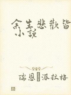 余生悲欢皆为你 小说封面