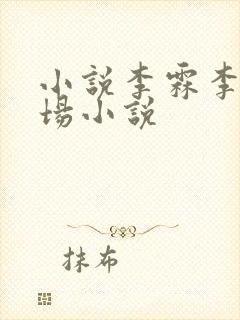 小说李霖李澜官场小说