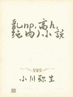 乱np,高h,纯肉)小说
