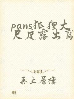 pans狐狸大尺度露出写真视频