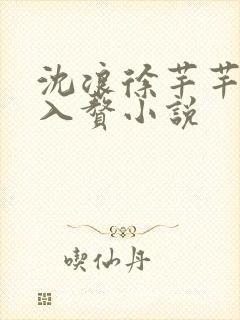 沈浪徐芊芊穿越入赘小说