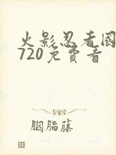 火影忍者国语版720免费看