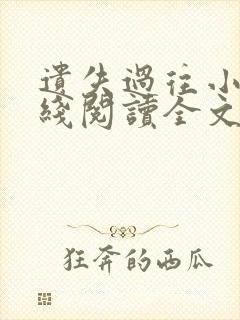 遗失过往小说在线阅读全文无弹窗