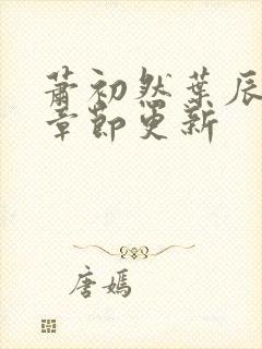 萧初然叶辰最新章节更新封面