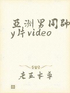 亚洲男同帅gay片video