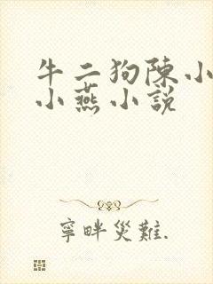 牛二狗陈小凤陈小燕小说封面