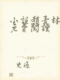 小说赵青林安澜免费阅读