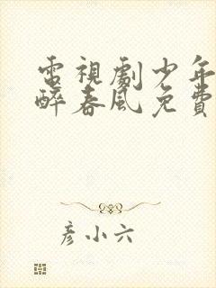 电视剧少年白马醉春风免费