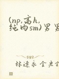 (np,高h,纯肉sm)男男