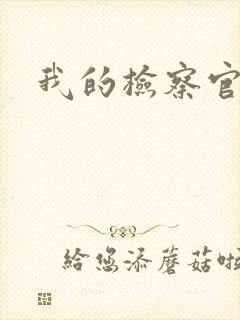 我的检察官先生封面