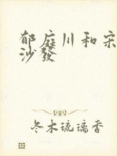 郁庭川和宋倾城沙发封面