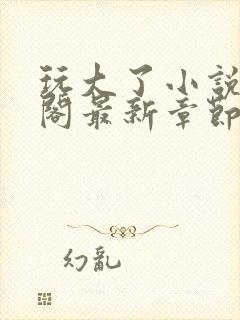 玩大了小说笔趣阁最新章节无弹窗