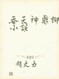 吞天神鼎柳无邪小说