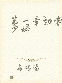 第一章初尝极品少妇