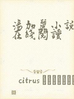 汤加丽小说最新在线阅读