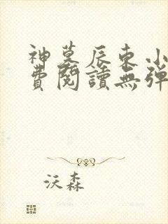 神墓辰东小说免费阅读无弹窗
