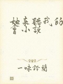 她来听我的演唱会小说