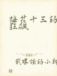 梅花十三的乳液狂飙封面