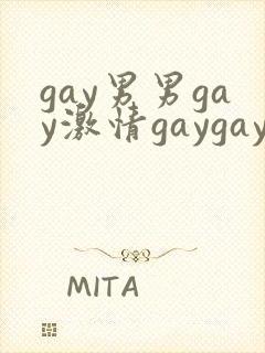 gay男男gay激情gaygay