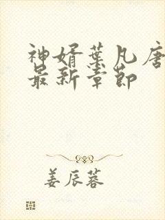 神婿叶凡唐若雪最新章节