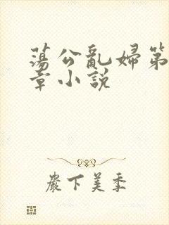 荡公乱妇第51章小说