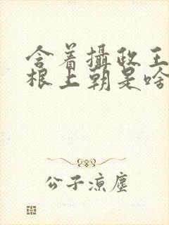 含着摄政王的紫根上朝是啥小说