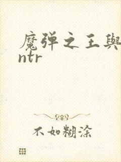 魔弹之王与战姬ntr封面